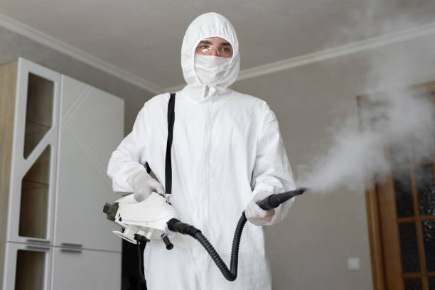 Best Mold Odor Removal Services  in Boyd, TX